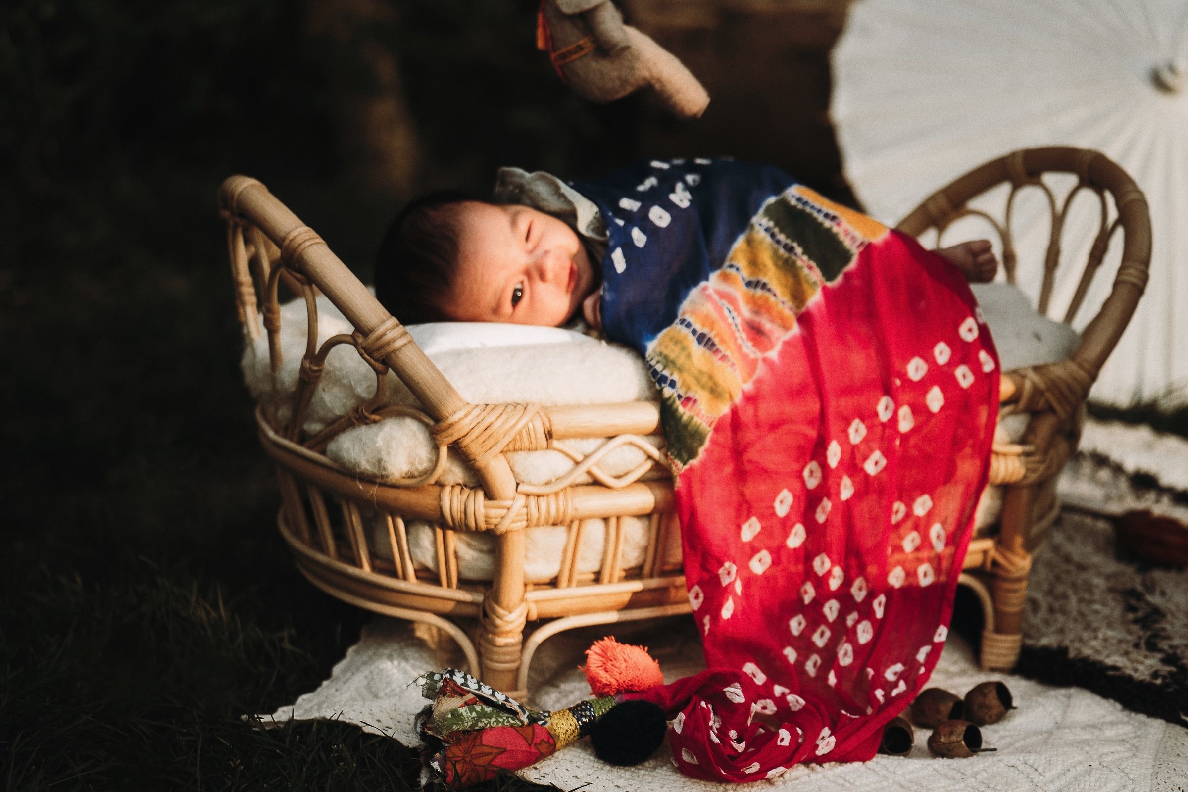 Amaya sleeping beneath a rich patterned blanket