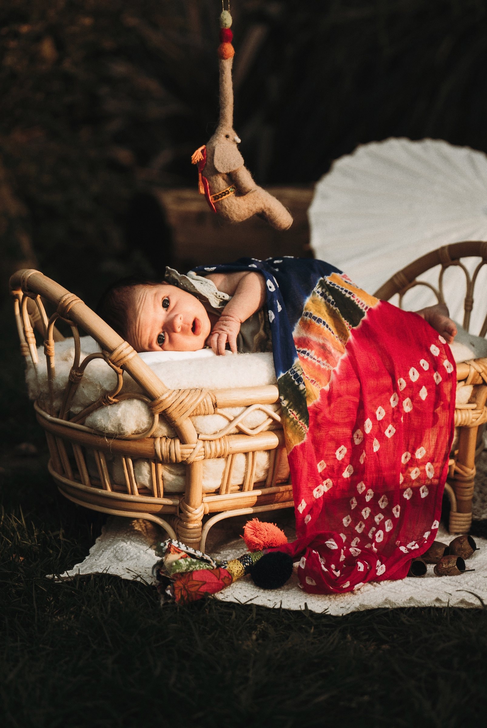 Amaya sleeping in a basket wrapped in a patterned cloth