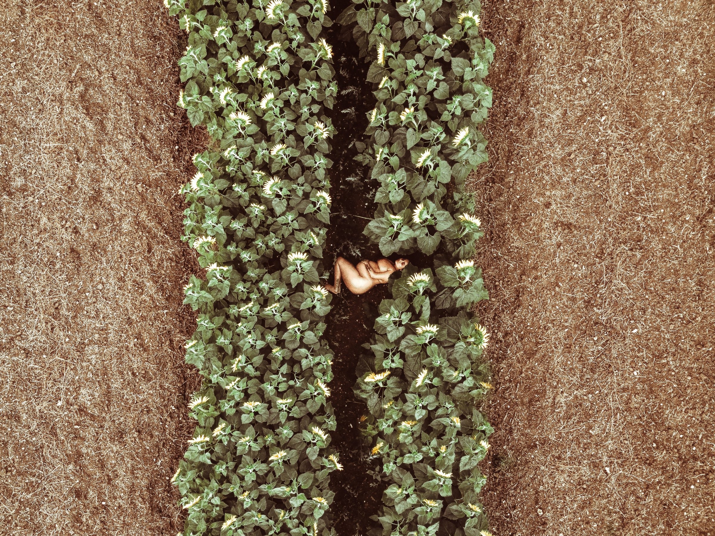 A close detail of shimmering embroidered cloth from Amrita’s maternity story